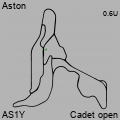 AS1Y